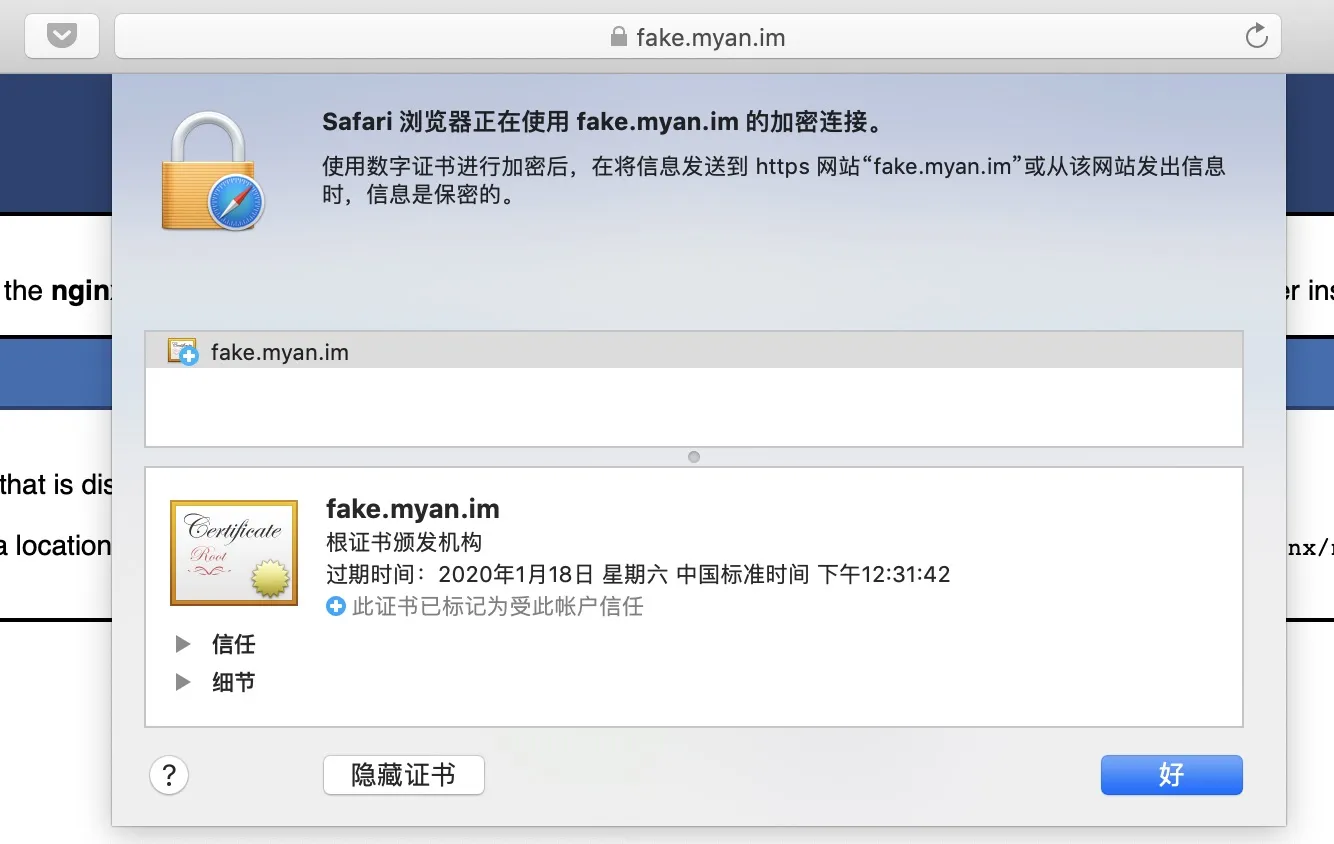 safari-self-signed-https